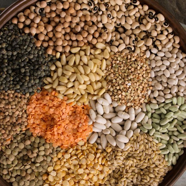 Pulses and Legumes